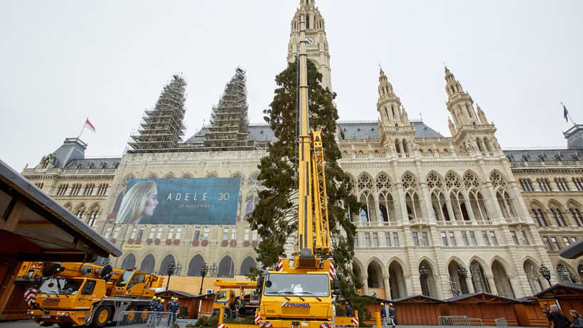 Weihnachtsbaum